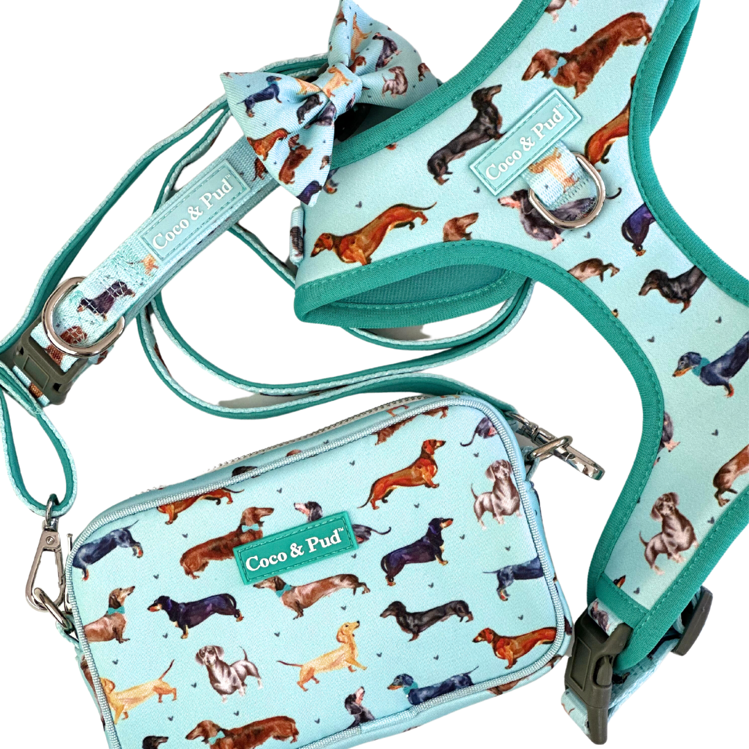 Brakeburn sausage dog on sale purse