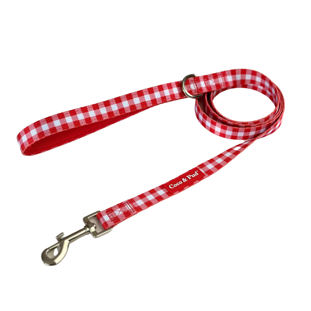 Gingham Red Dog lead Leash