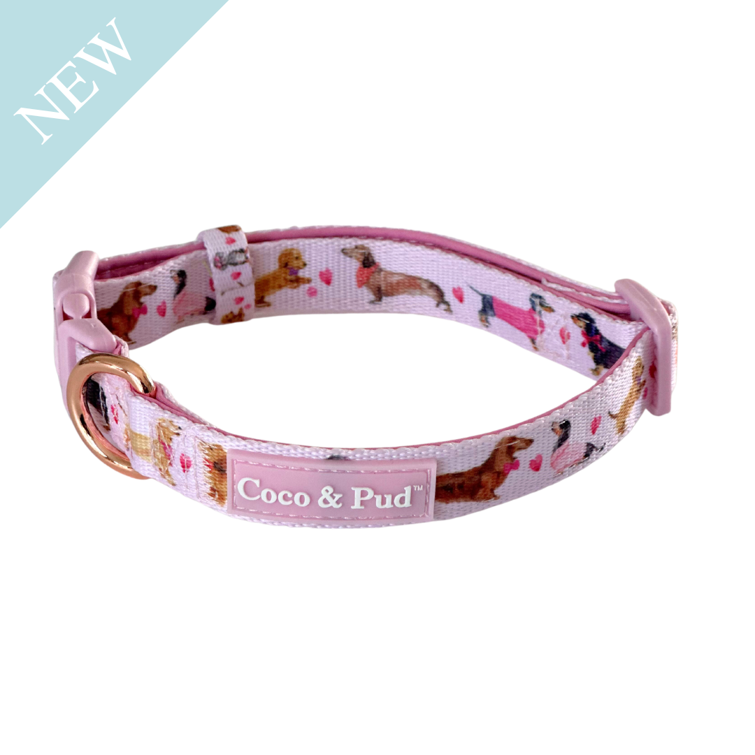 Coco & Pud Doxie Rose Dog Collar