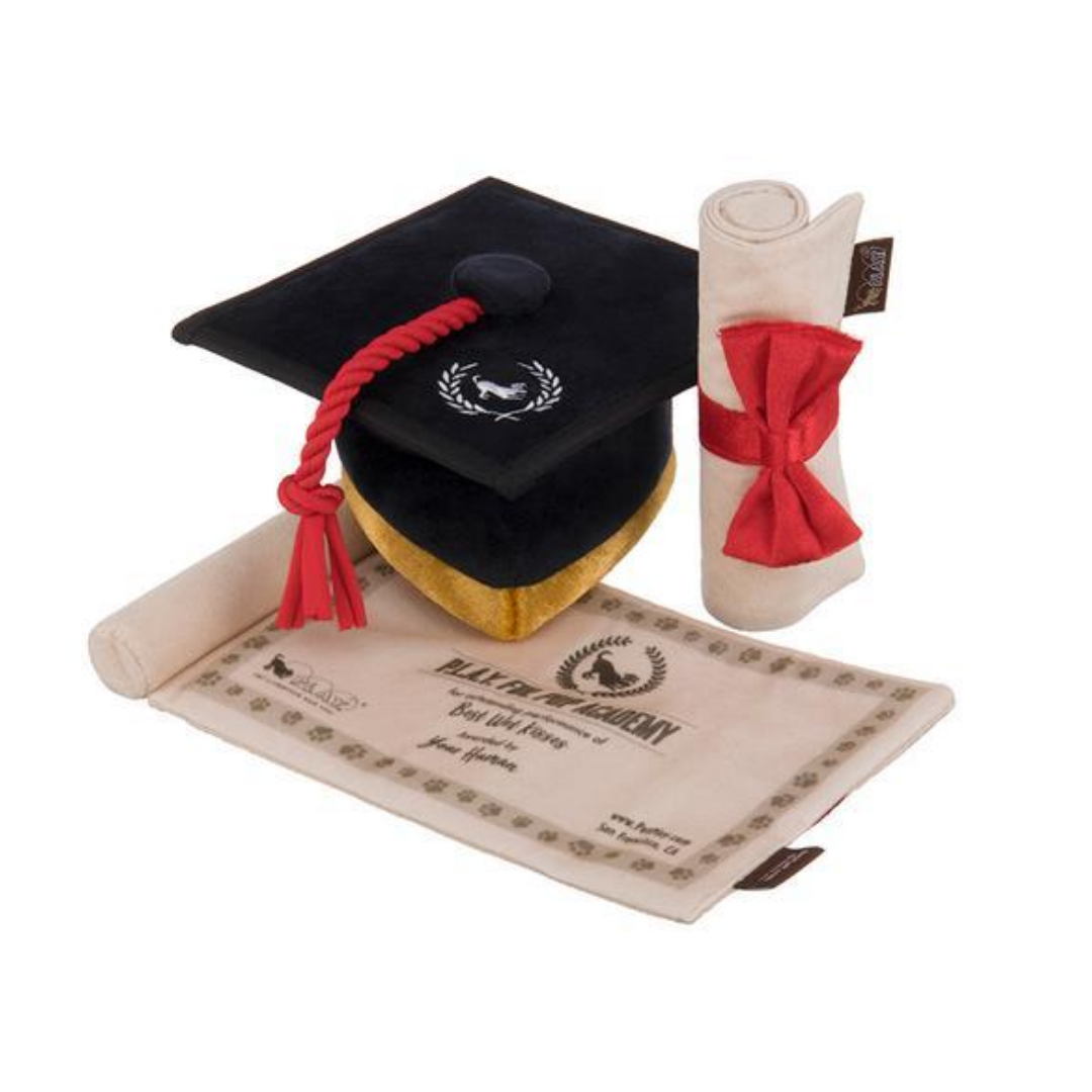 Back To School Graduation Cap Dog Toy