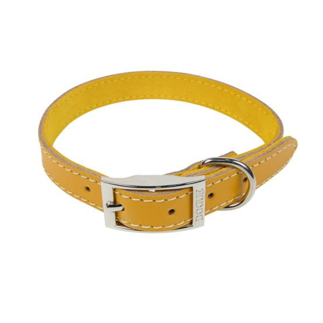Mustard yellow dog shop collar