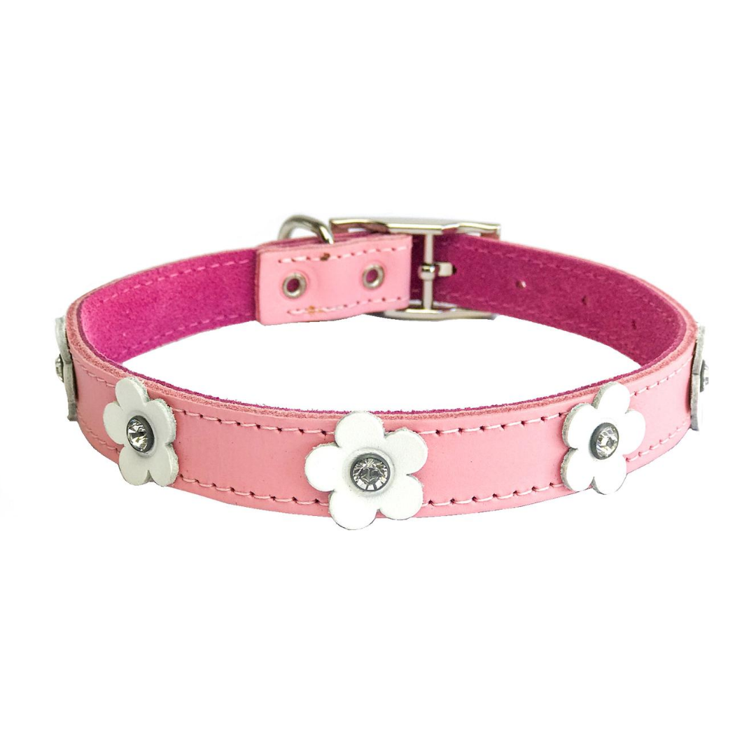 Pink dog collar best sale