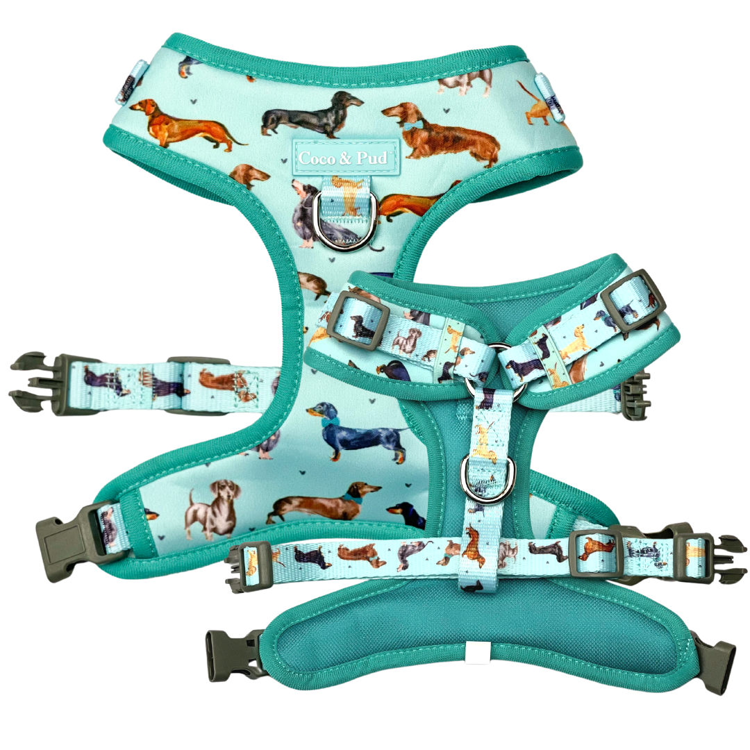 Doxie Love Adjustable Dog Harness