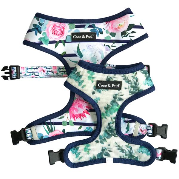 Coco & Pud Floral Blooms Dog Harness 