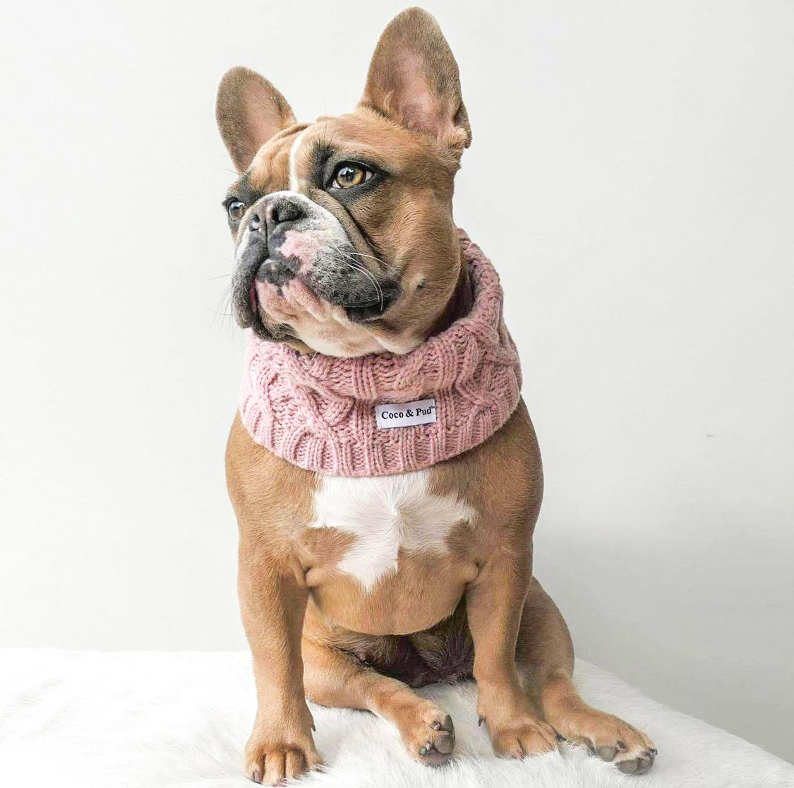 Miss Milly in Coco & Pud Coco Cable Snood ROse