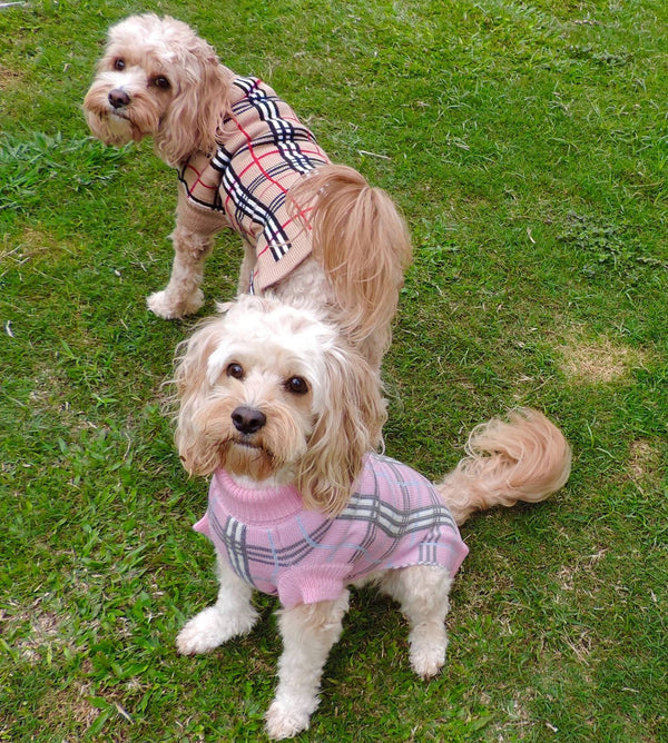 Coco & Pud Knightsbridge Dog Sweater - Pink - Coco & Pud