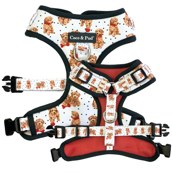 Coco & Pud Oodles of Fun Adjustable Dog Harness