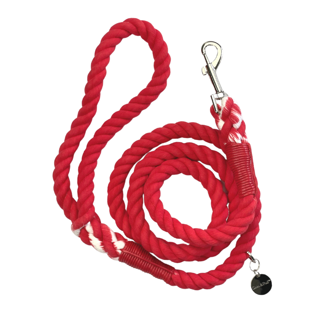 Red rope dog store leash