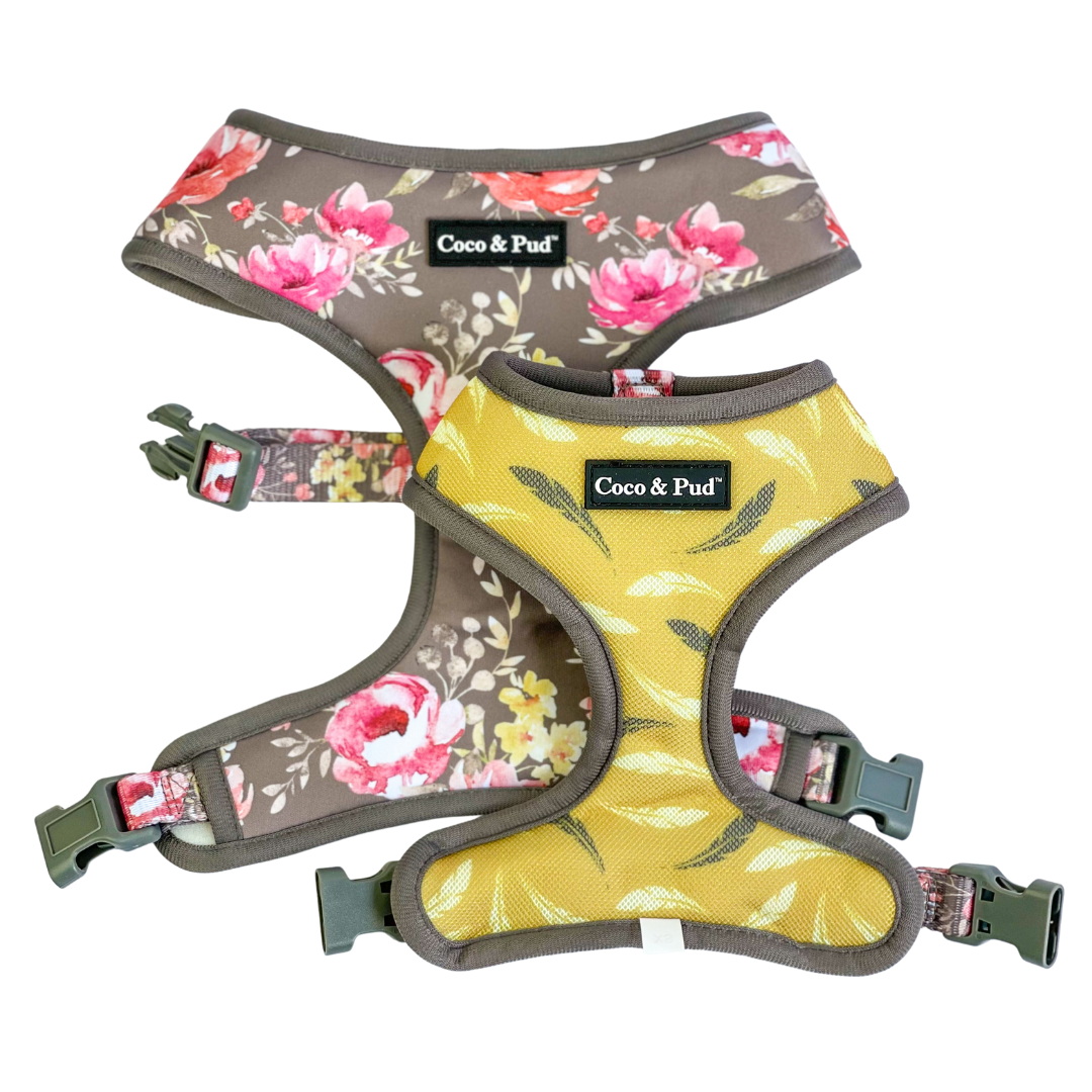 Vintage Garden Reversible Dog Harness