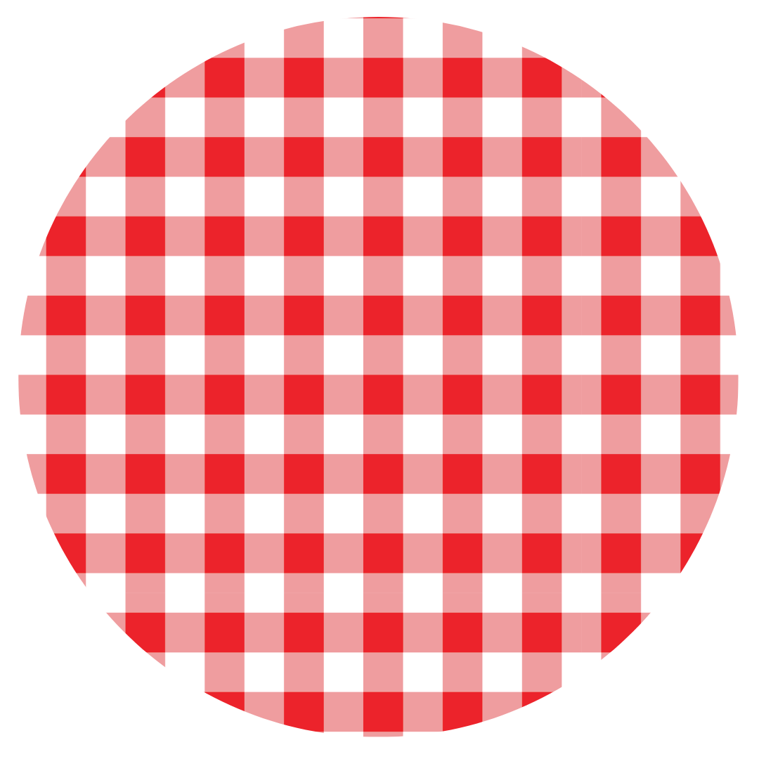 Coco & Pud Gingham Red Design