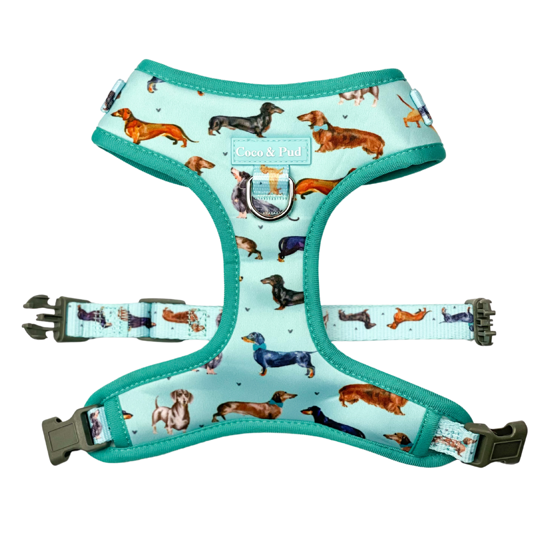 Coco & Pud Doxie Love Harness Front