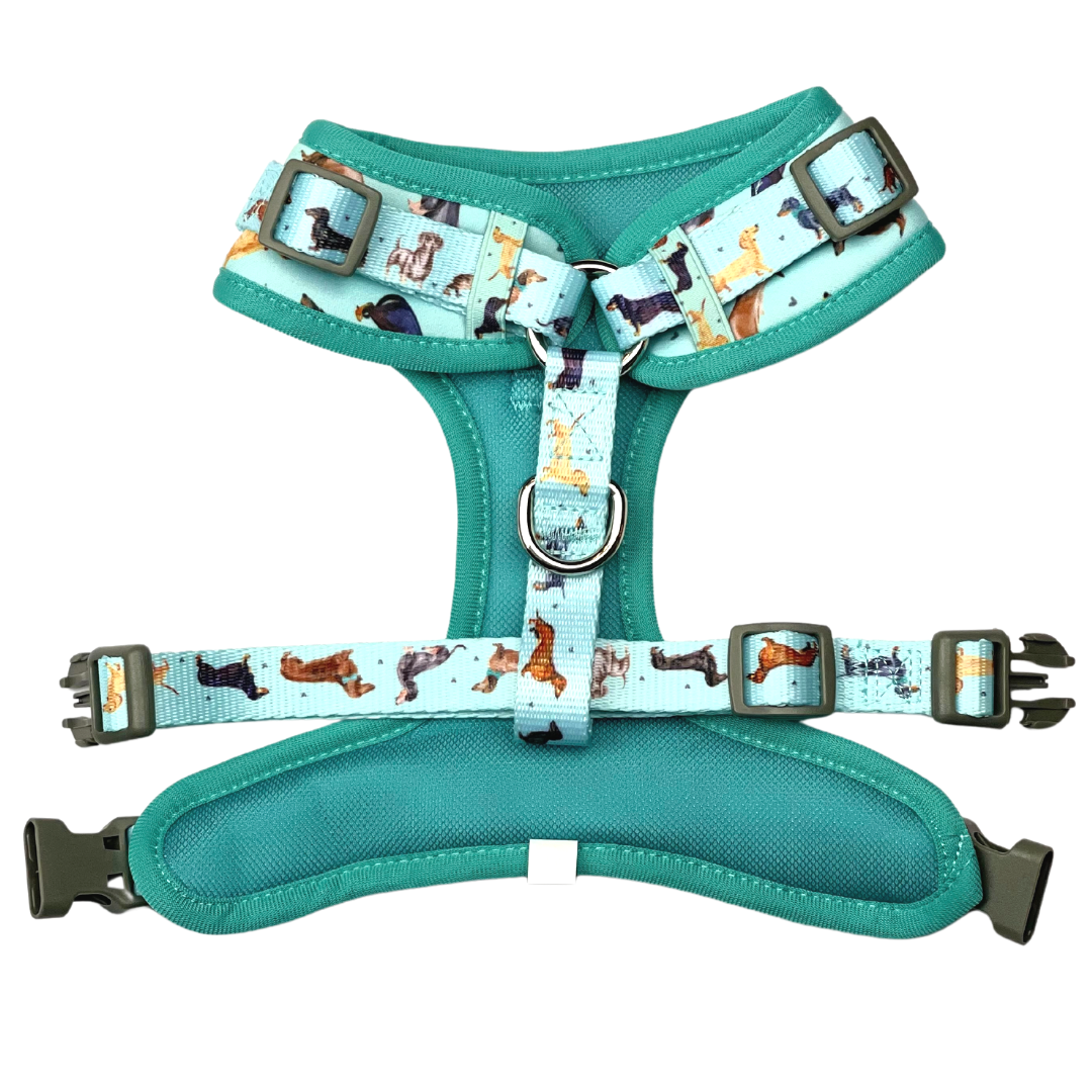 Coco & Pud Doxie Love Harness Back