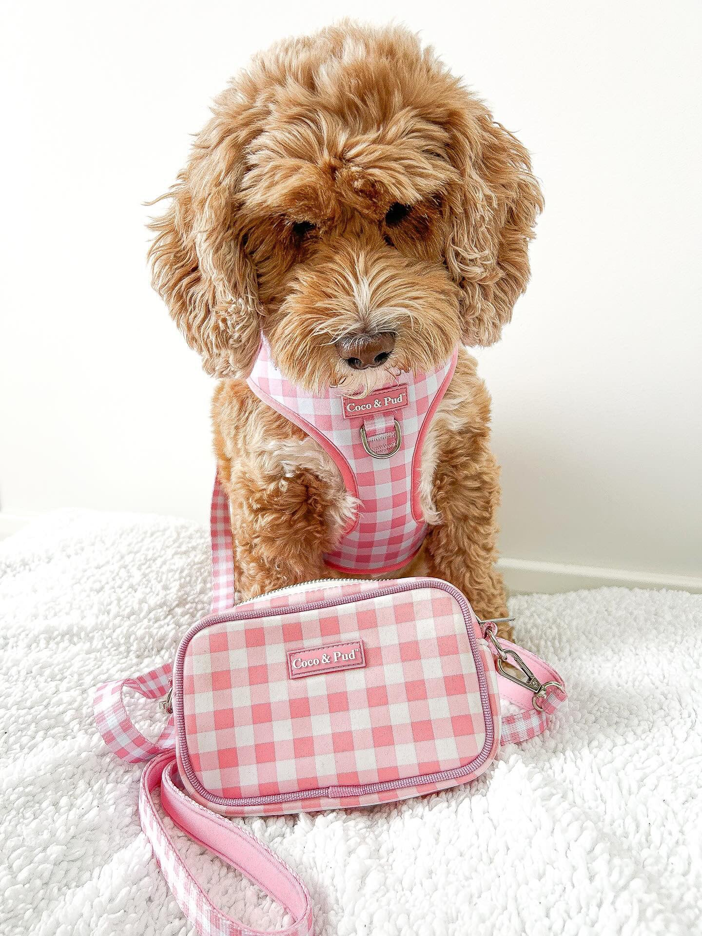 Gingham 'Dog Walking' Crossbody/Waist Bag - Rose