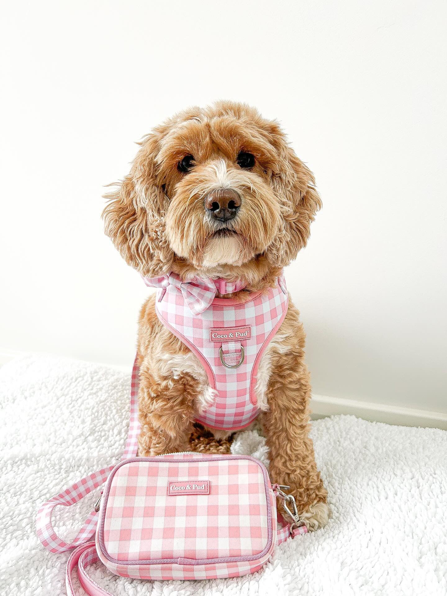 Gingham 'Dog Walking' Crossbody/Waist Bag - Rose