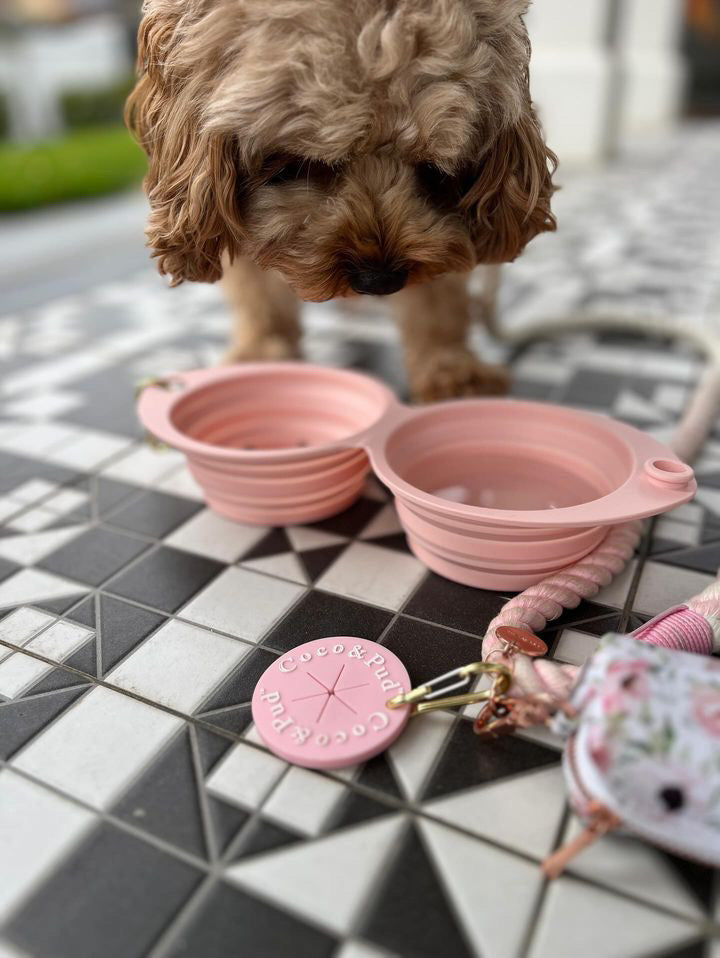 Coco & Pud Collapsible Portable Silicone Travel Double Dog Bowl - Rose