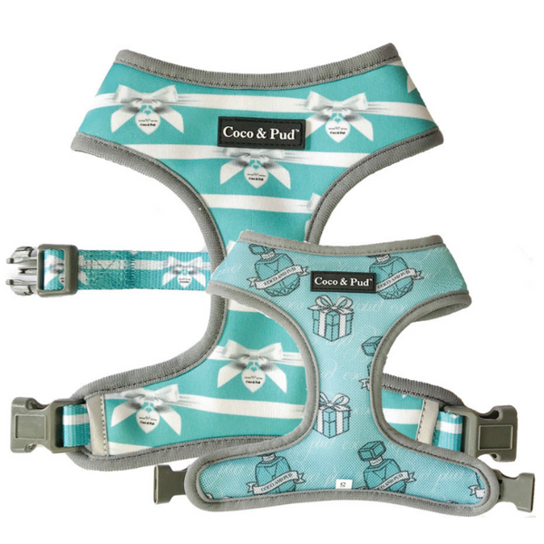 Coco & Pud Audrey Reversible Dog Harness