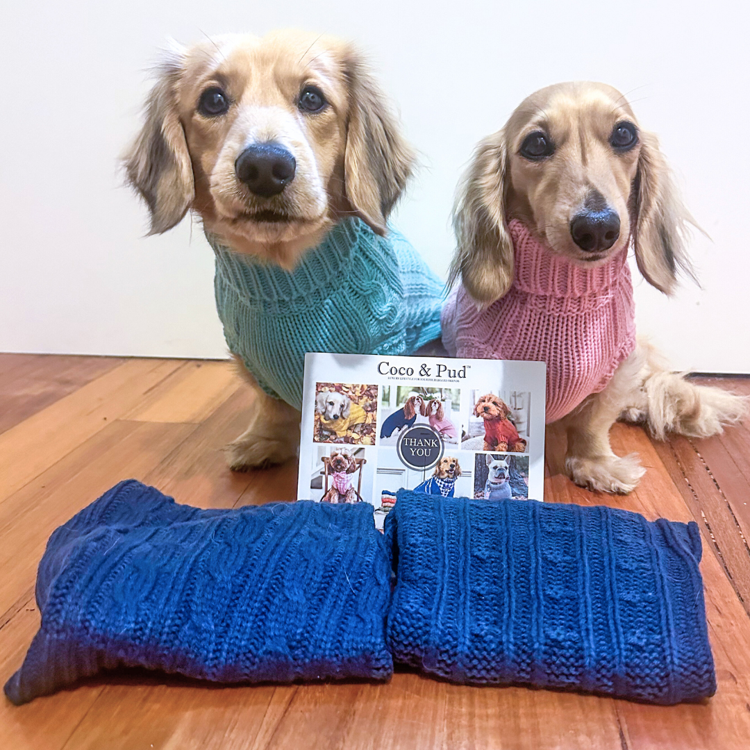 Bjorn & Lucia IN Coco & Pud Dachshund Cable Jumpers