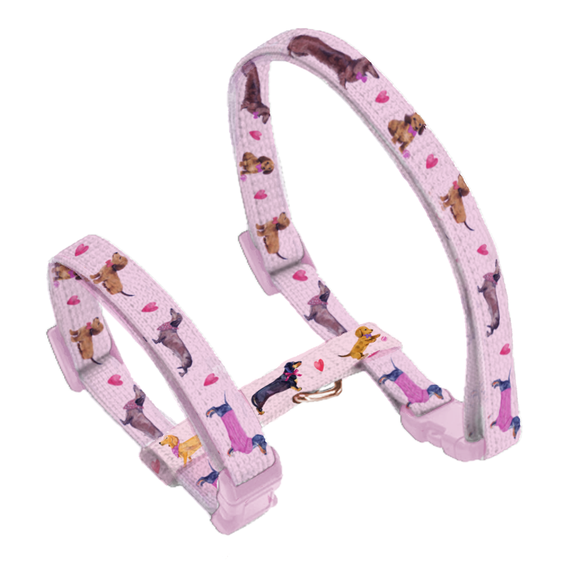 Coco & Pud Doxie Rose Kitten and Cat harness