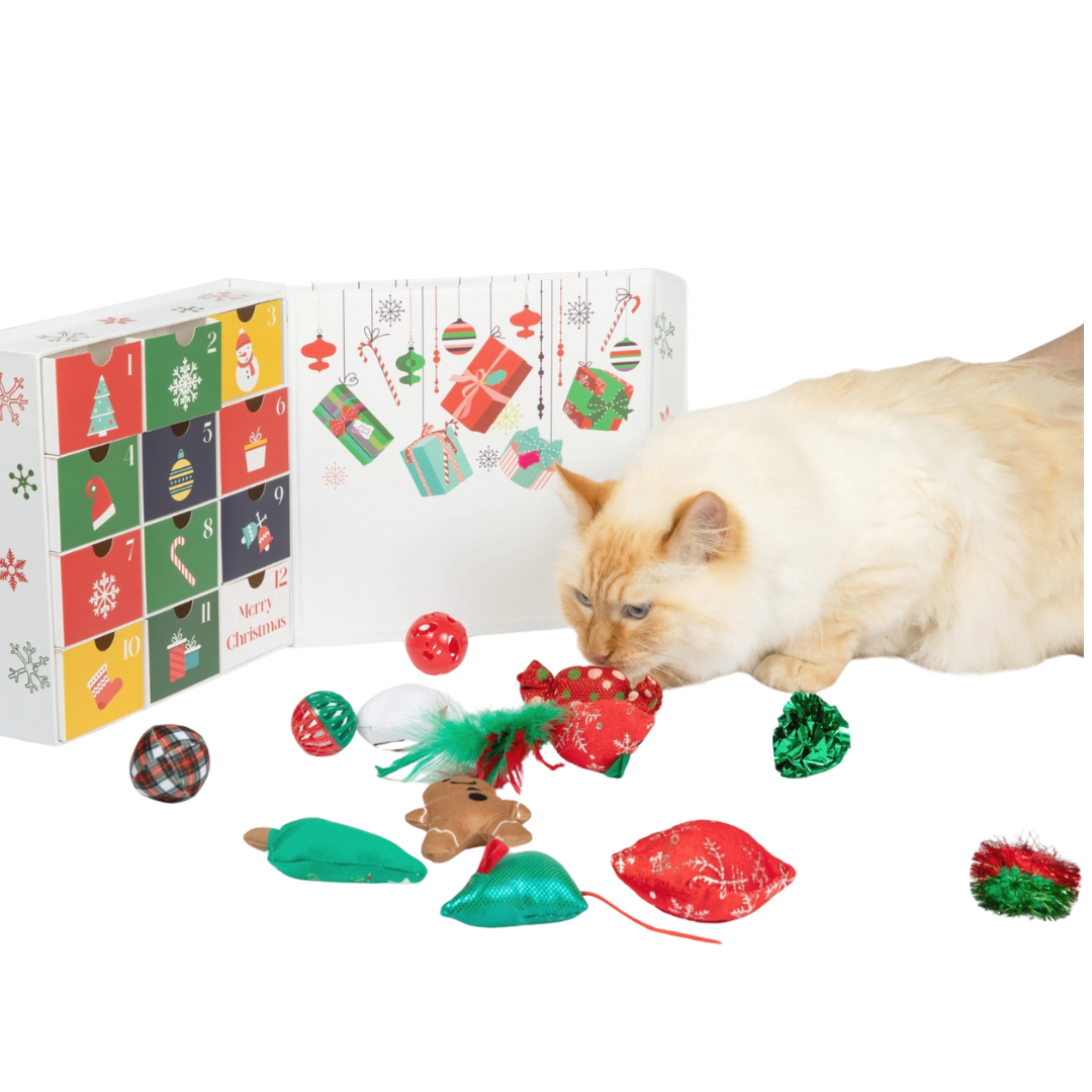 Christmas Advent Calendar for Cats