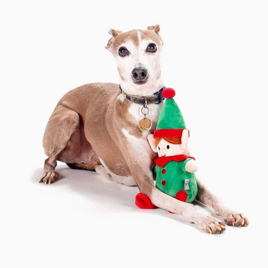 Coco and Pud Christmas Elf Plush Dog Toy