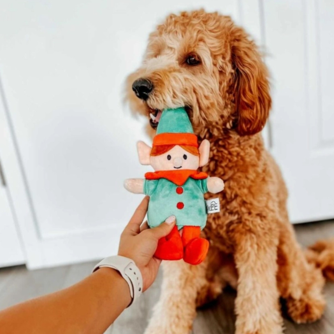 Coco and Pud Christmas Elf Plush Dog Toy