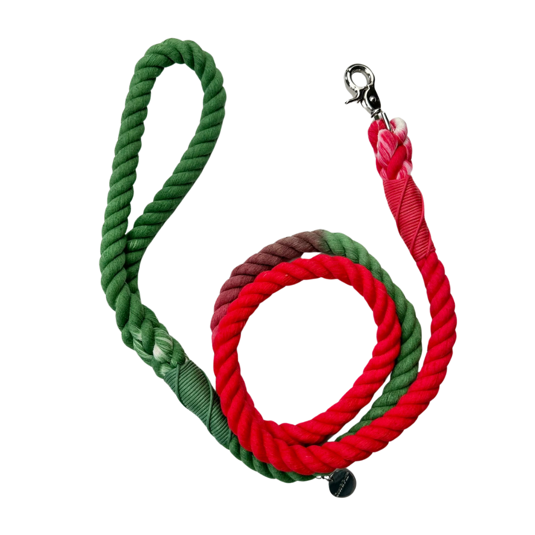 Red/Green Rope Dog Lead/ Leash - Silver