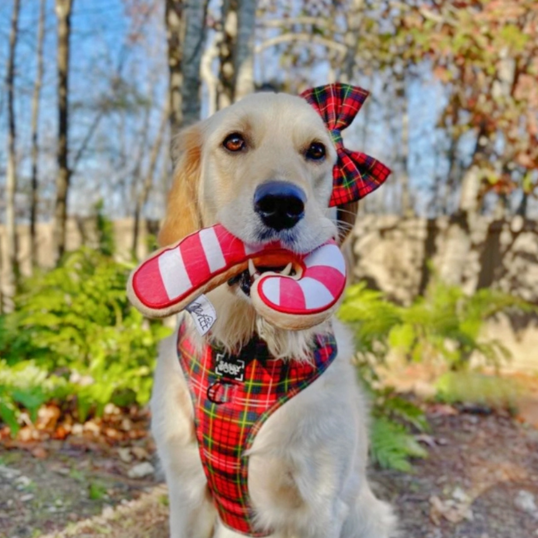 Coco and Pud Christmas Sugar Cookie Plush Dog Toy (Candy Cane)