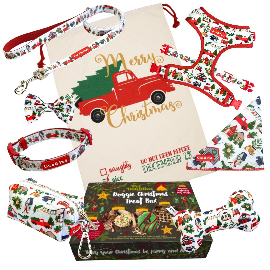 Coco & Pud Christmas Celebration Hamper - Deck The Paws