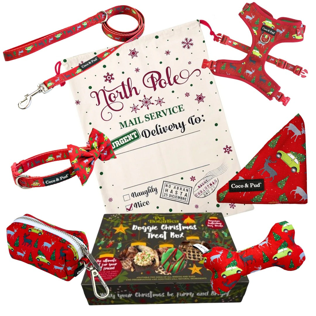 Coco & Pud Christmas Celebration Hamper - Deck The Paws