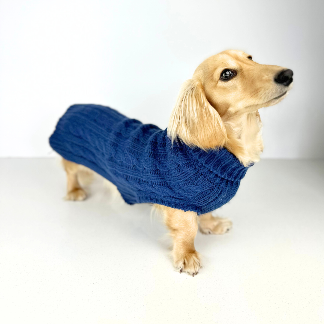 Coco & Pud Dachshund Dog Sweater/ Dog Jumper worn by miniature long-haired Dachshund in Navy