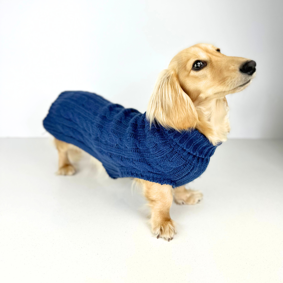 Dachshund sweaters for dogs hot sale