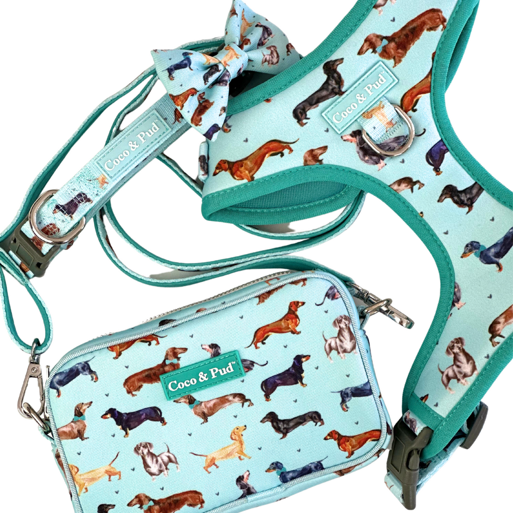 Dog Poop Bag Holder Waste Bag Knot Metal Carrier Leash Attachment Easy Clip  NEW