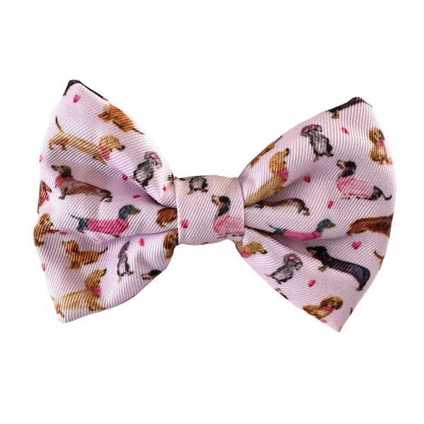 Coco & Pud Doxie Rose Cat Bow tie