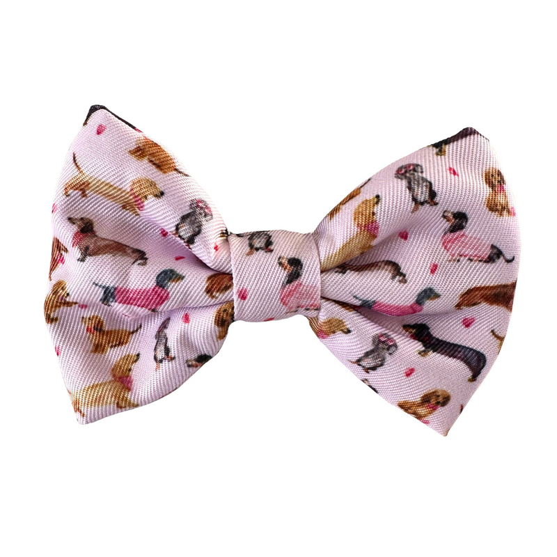 Coco & Pud Doxie Rose Dog Bow tie