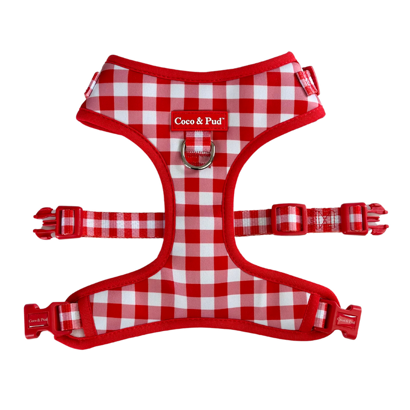 Coco & Pud Gingham Red Adjustable Harness front Australia