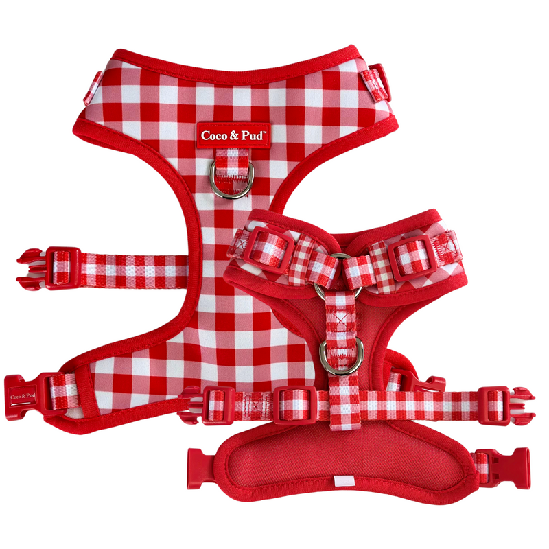 Coco & Pud Red Gingham Dog Harness