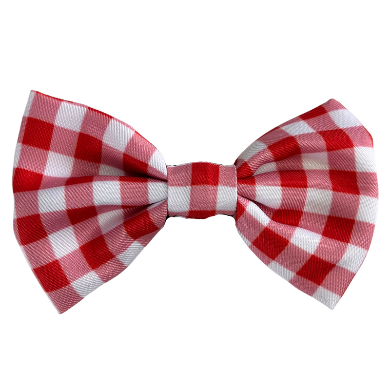 Coco & Pud Red Gingham Dog Bowtie