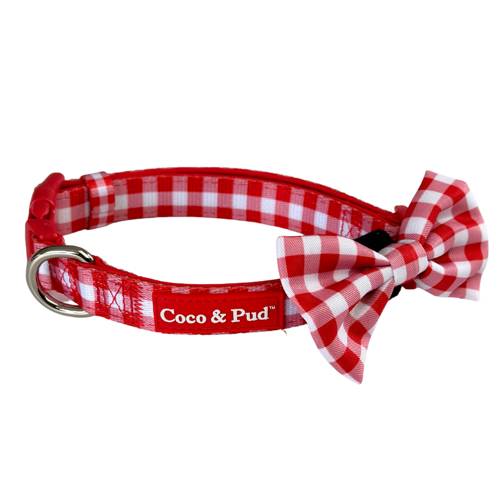 Red gingham dog sales collar