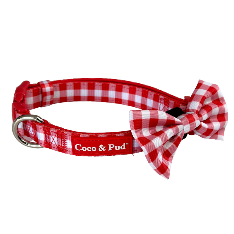 COco & Pud Red Gingham Dog Collar & Bowtie