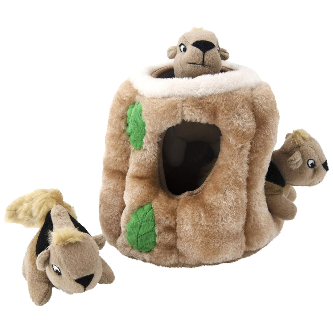 Coco & Pud  Hide A squirrel Interactive dog toy with mini squirrel dog toys inside- Small - Outward Bound