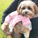 Coco & Pud pink and white houndstooth dog scarf with matching sweater on Cavoodle