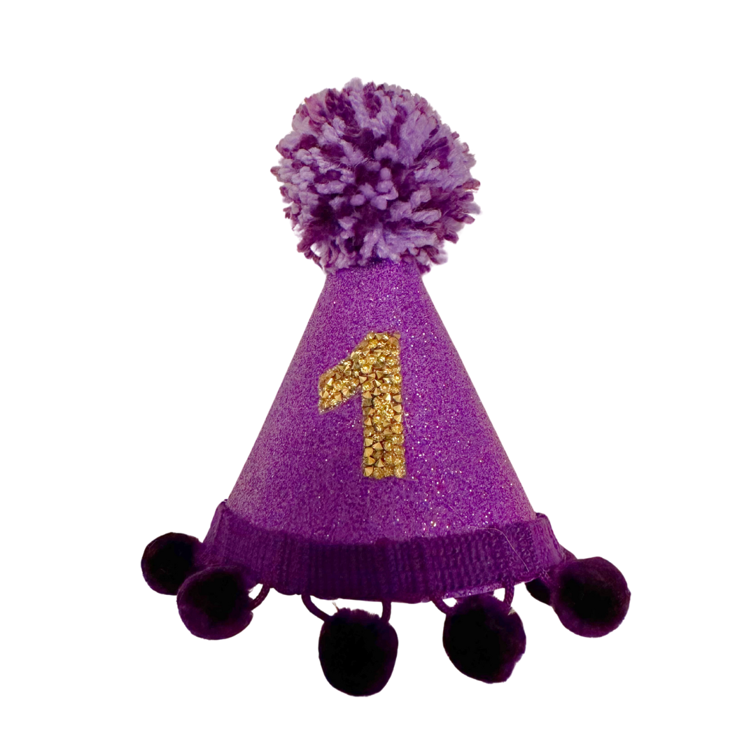 Coco & Pud Purple & Gold Number Birthday Dog Party Hat