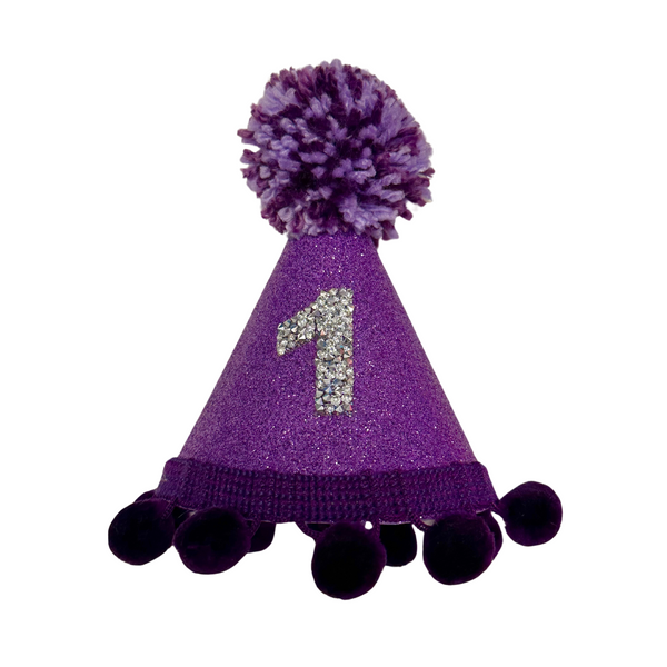Coco & Pud Purple & Silver Number Birthday Dog Party Hat