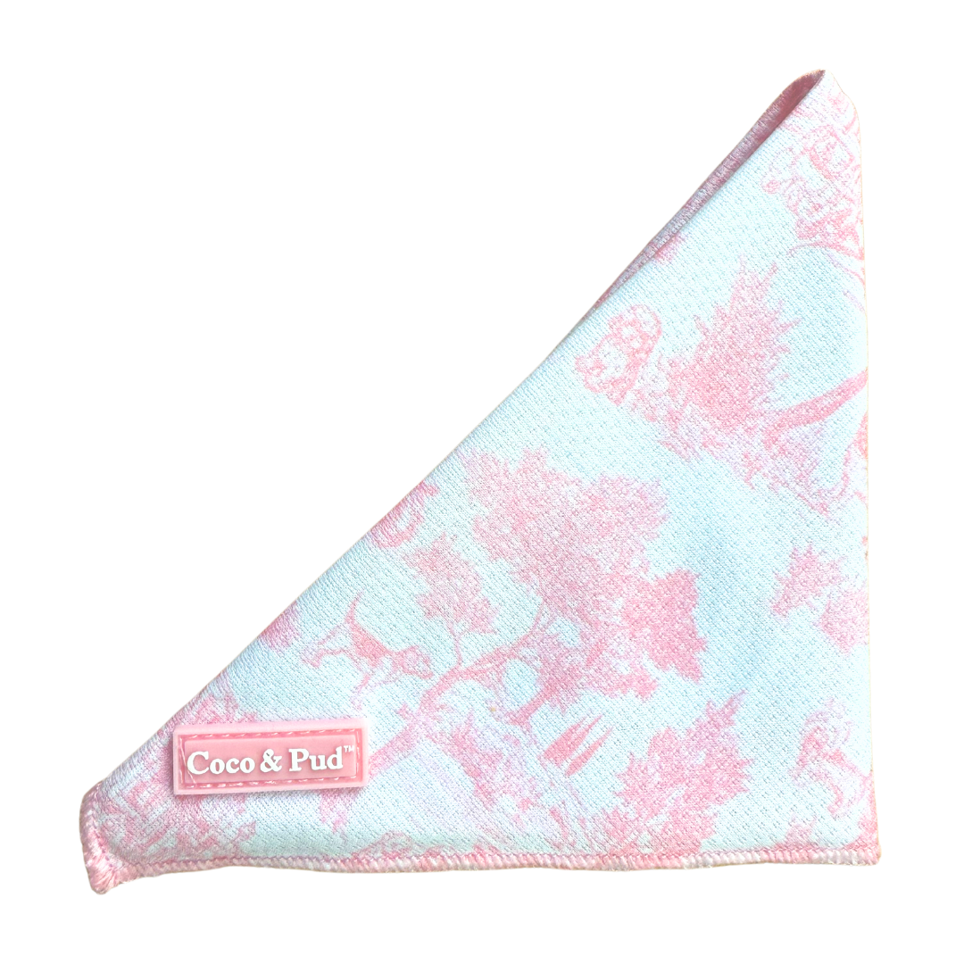 Coco & Pud Toile de Chien Rose Cat Bandana