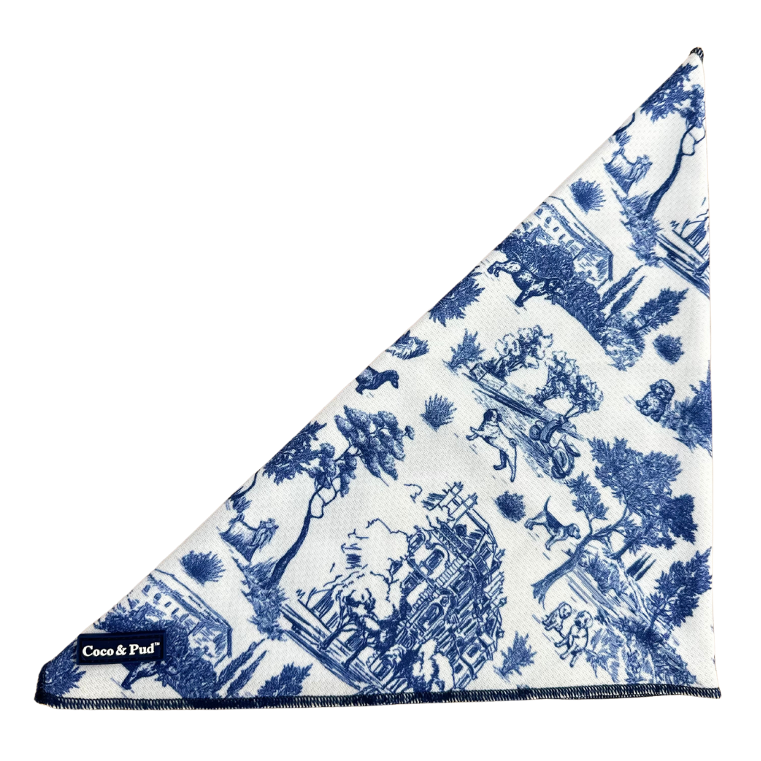 Coco &amp; Pud Toile de Chien Navy Cat Bandana