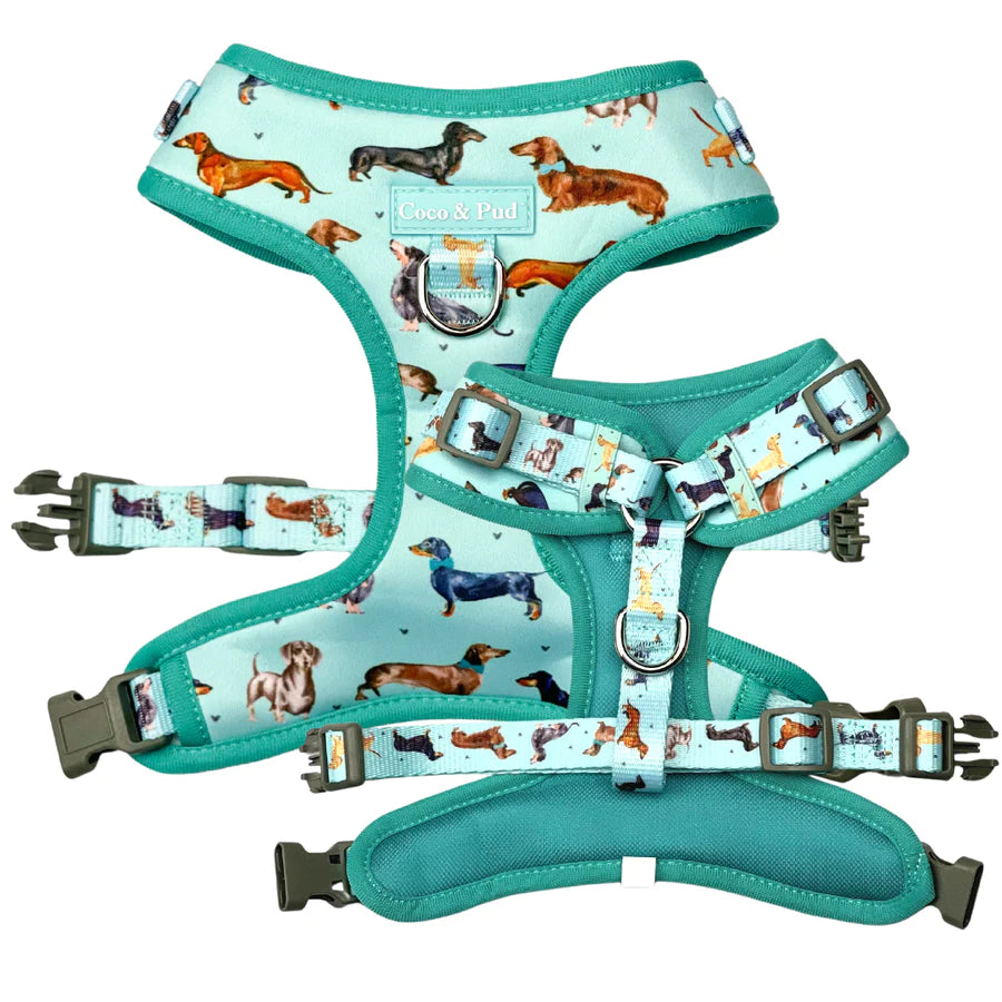 Doxie Love Dog Hamper