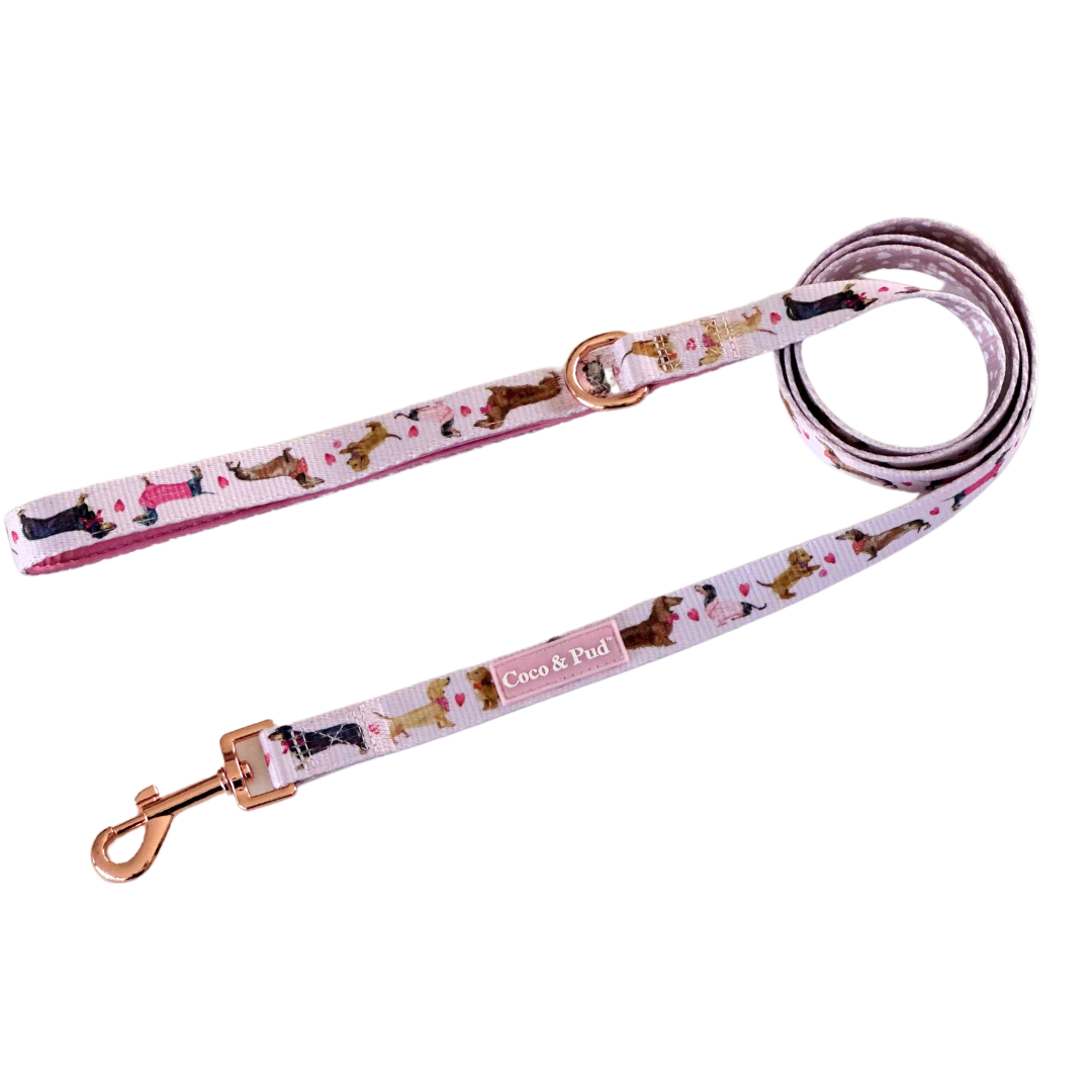 Coco & Pud Doxie Rose Dog Lead