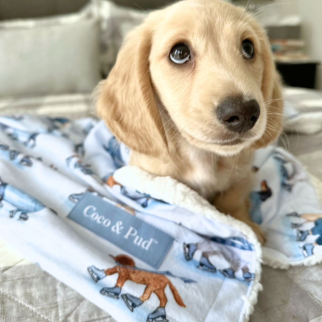 Skating Dogs Luxe Pet Blanket