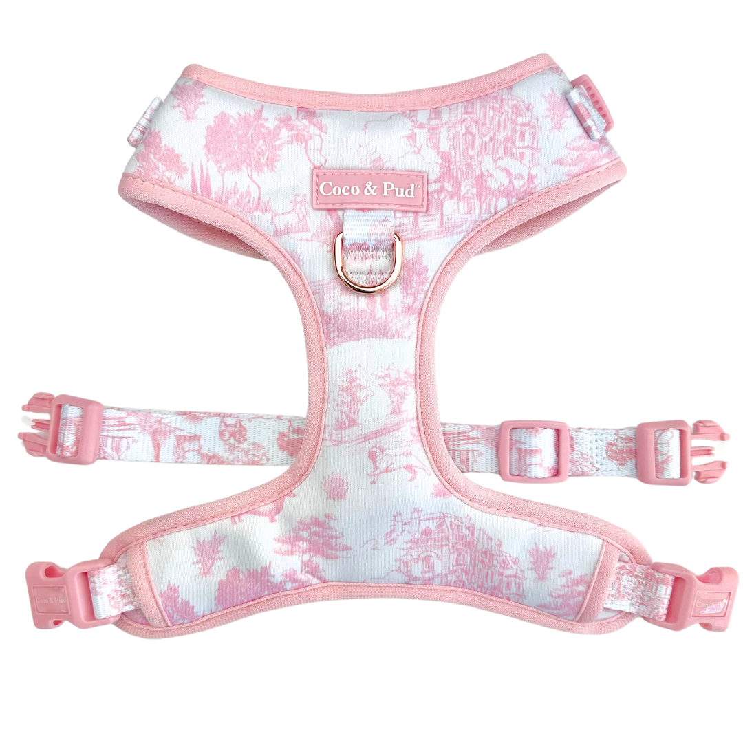 Carolines Treasures CK1852CHF Automne Feuilles Bernese Chien De Montagne Drapeau Toile Maison Taille