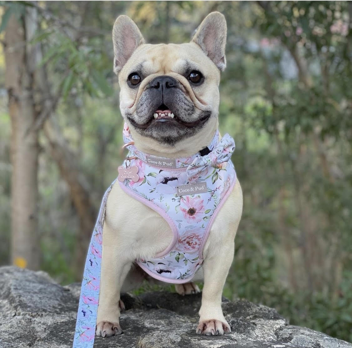 Le Jardin Adjustable Dog Harness by Coco &amp; Pud&nbsp;